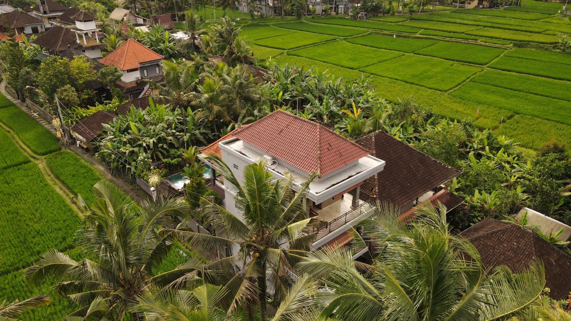 Nirwa 1 Ubud Guesthouse Εξωτερικό φωτογραφία